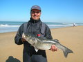 SURF-CASTING SURF-CASTING